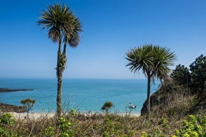 Hazy Prints: Belvoir Bay, Herm, Channel Islands, United Kingdom, Europe