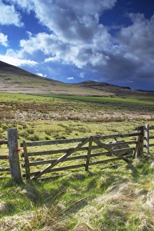 Ben Clach near Crieff, Perthshire, Scotland, United Kingdom, Europe