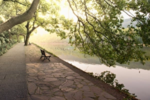 West Lake Prints: Bench under tree canopy at West Lake shore in Hangzhou, Zhejiang, China, Asia