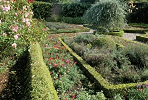 Antrim Prints: Benvarden garden