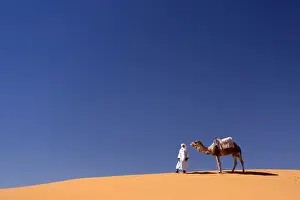 Erg Chebbi Prints: Berber man with camel on the ridge of an orange sand dune in the Erg Chebbi sand sea