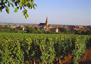 Bergheim, Alsace, France