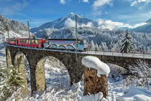 Switzerland Gallery: Bernina Express passes through the snowy woods around Filisur, Canton of Grisons (Graubunden)