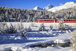 Engadin Prints: The Bernina Express in a snow-capped Engadine, Switzerland, Europe