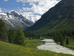 Canton Graubunden Prints: Bernina Massif, Canton Graubunden, Swiss Alps, Switzerland, Europe