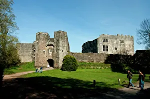 Images Dated 6th April 2009: Berry Pomeroy castle, Devon, England, United Kingdom, Europe
