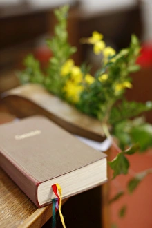 Images Dated 4th April 2010: Bible in a church, Aggsbach, Austria, Europe