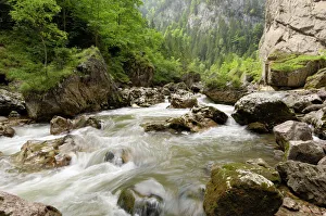 Romania Prints: Bicaz River, Moldavia, Romania, Europe