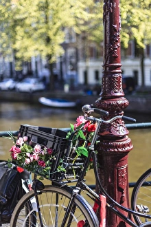 Flowers Prints: A bicycle decorated with flowers by a canal, Amsterdam, Netherlands, Europe