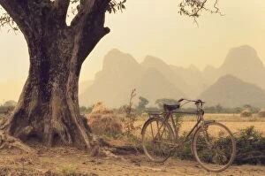 Bicycle, tree and mountains, Yulong River valley, Yangshuo, Guangxi Province, China, Asia