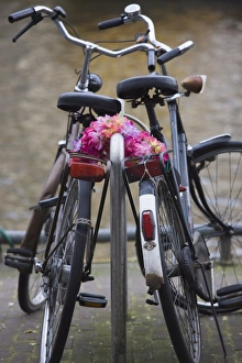 Bike Prints: Two bicycles with a flower chain, Amsterdam, Netherlands, Europe