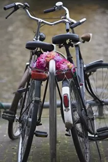 Two bicycles with a flower chain, Amsterdam, Netherlands, Europe
