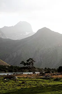 Paddock Prints: Big avalanche in the remote and spectacular Fann Mountains