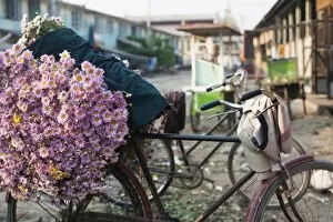 Images Dated 26th March 2010: A bike loaded with fresh flowers at the flower market in Mandalay, Myanmar (Burma), Asia