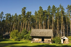 Riga Gallery: Birchwood roofed house