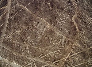 Nazca Prints: The Bird Geoglyph, aerial view, Nazca, UNESCO World Heritage Site, Ica Region, Peru