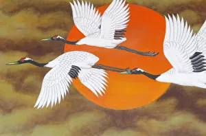 Birds Prints: Bird painting at Bongeunsa temple, Seoul, South Korea, Asia