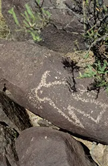 Rock Art Prints: Bird pecked into desert varnish of volcanic rock between 900 and 1300AD