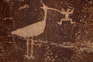 Images Dated 11th February 2010: Bird petroglyph, Petrified Forest National Park, Arizona, United States of America