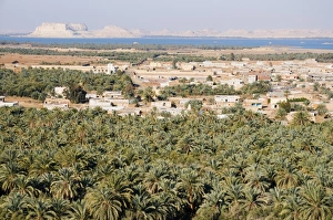 Images Dated 28th January 2008: Birket Siwa (Siwa Lake), Siwa Oasis, Western Desert, Egypt, North Africa, Africa