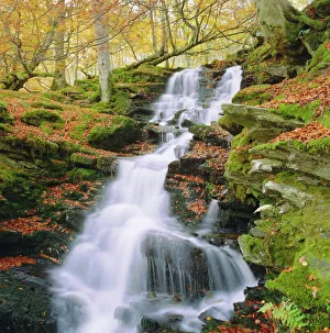 Flowing Gallery: Birks of Aberfeldy