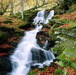 Autumn Gallery: The Birks of Aberfeldy in Tayside