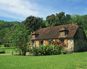 Martinique Prints: The birthplace of Josephine