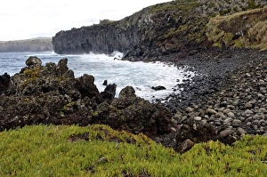 Sea Cliffs Prints: Biscoitos coast, Terceira Island, Azores, Portugal, Atlantic, Europe