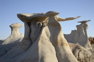 Images Dated 16th March 2009: Bisti Wing, Bisti Wilderness, New Mexico, United States of America, North America