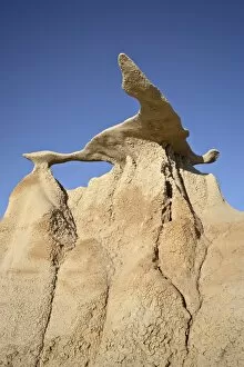 Images Dated 16th March 2009: Bisti Wing, Bisti Wilderness, New Mexico, United States of America, North America