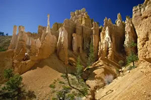 Bryce Amphitheater Prints: Bizarre rock sculptures in the Queens Garden of the Bryce Amphitheatre
