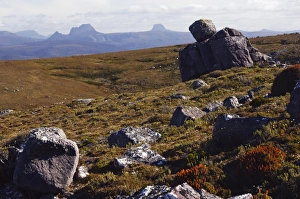 Tasmania Prints: Black Bluff mountain with Cradle Mountain in the distance, Tasmania, Australia, Pacific