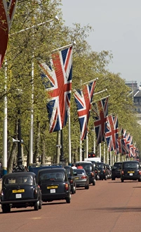 Taxi Prints: Black cabs along the Mall, London, England, United Kingdom, Europe