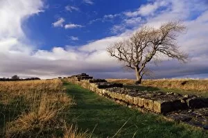 Rolling Landacape Collection: Black Carts, Roman Wall, Hadrians Wall, UNESCO World Heritage Site