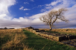 Northumbria Prints: Black Carts, Roman Wall, Hadrians Wall, UNESCO World Heritage Site