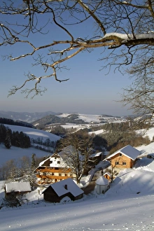 Images Dated 8th July 2005: Black Forest, Baden-Wurttemberg, Germany, Europe