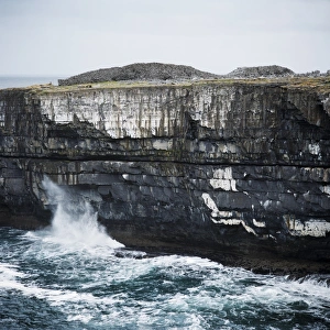 Sea Cliff Prints: Black Fort