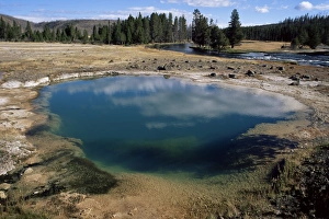Images Dated 9th January 2000: Black Opal Spring