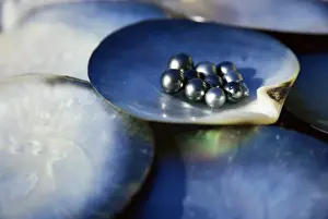 Pearl Prints: Black pearls, Cook Islands, South Pacific, Pacific
