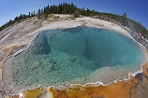 Curved Prints: Black Pool, West Thumb Geyser Basin