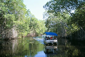 Black River, St