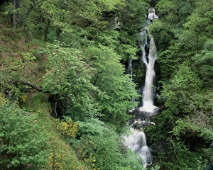 Water Fall Prints: The Black Spout