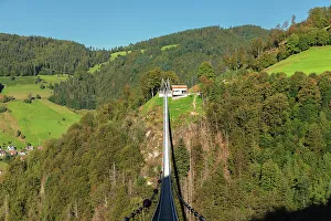 Mountaintop Prints: Blackforestline suspension bridge
