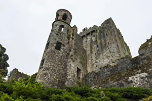 County Cork Prints: Blarney Castle, Blarney, County Cork, Munster, Republic of Ireland, Europe