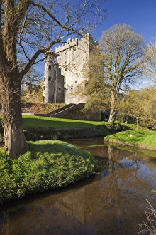 Spring Time Prints: Blarney Castle in springtime, County Cork, Munster, Republic of Ireland, Europe