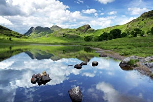 Cumbria Collection: Blea Tarn and Langdale Pikes, Lake District National Park, Cumbria, England, United Kingdom, Europe