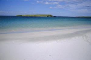 Islas Malvinas Prints: On Bleaker Island, East Falkland, Falkland Islands, South America