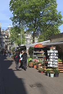 Bloemenmarkt Prints: Bloemenmarkt (flower market), Amsterdam, Netherlands, Europe