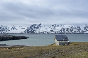 Arctic Climate Prints: Blomstandhalvoya or Ny London historic site, Svalbard Archipelago, Norway