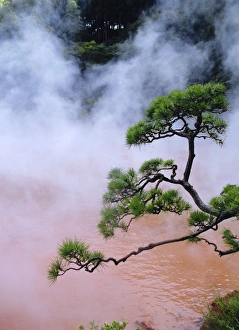 Branch Prints: Blood Pond Hell (Chinoike Jigoku)